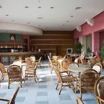 Hrizantema