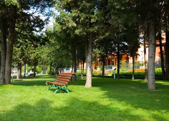 Hrizantema Sunny Beach