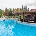 Hrizantema ساني بيتش