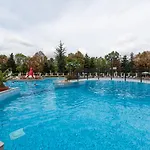 Hrizantema ساني بيتش