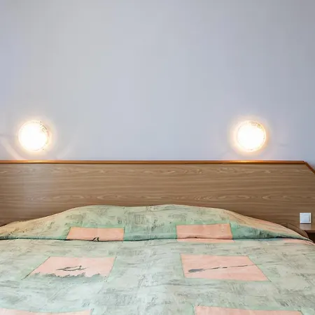 Hrizantema Otel 4*