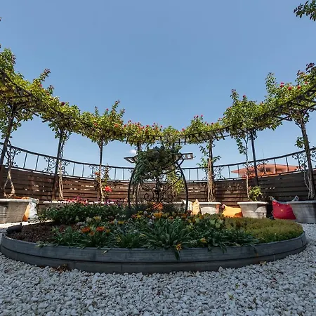 Otel Hrizantema Sunny Beach