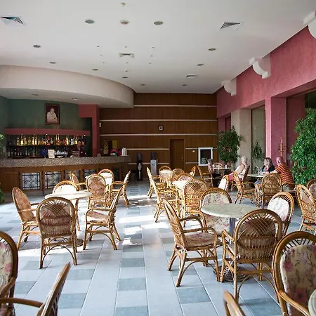 Hrizantema Sunny Beach