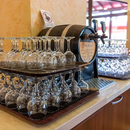 Hrizantema Otel 4*