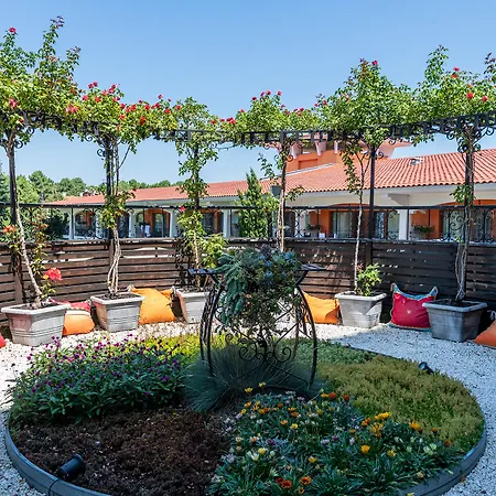 Otel Hrizantema 4*
