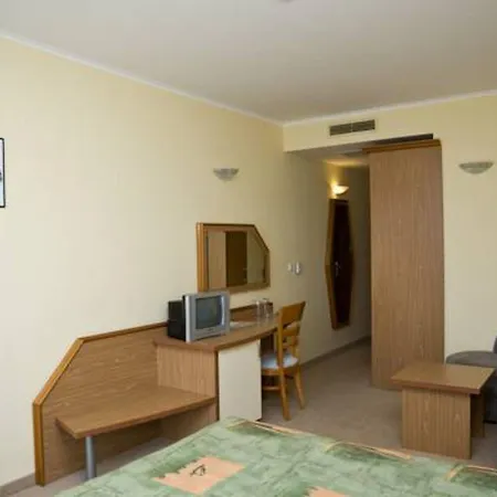 Hrizantema 4*