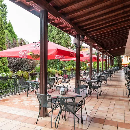 Hrizantema Otel Sunny Beach