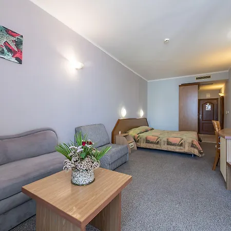 Hrizantema Otel