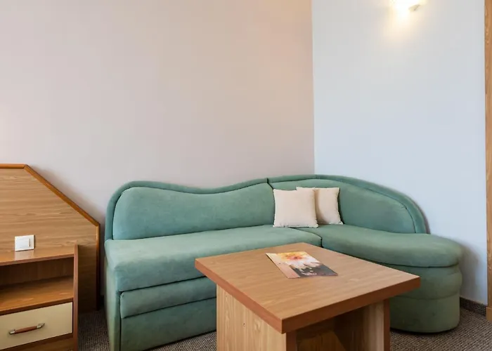 Hrizantema 阳光海滩