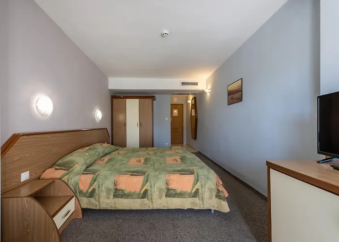 Hrizantema Sunny Beach