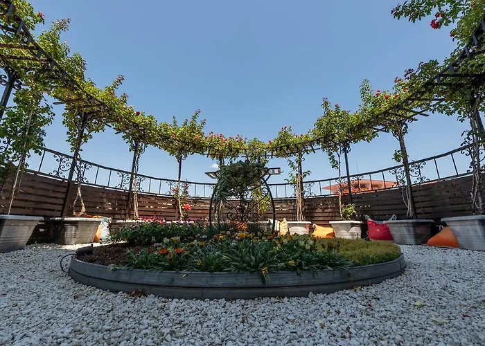 Otel Hrizantema Sunny Beach