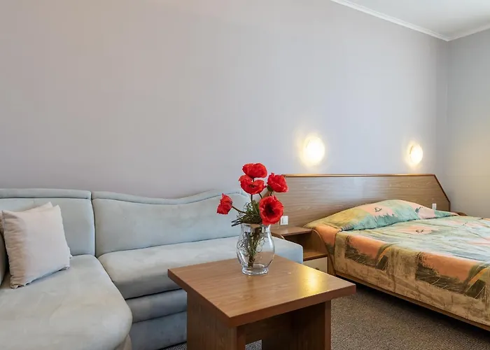 Hrizantema Otel Sunny Beach