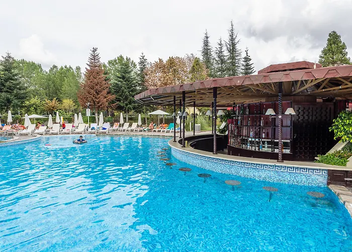 Hrizantema Sunny Beach