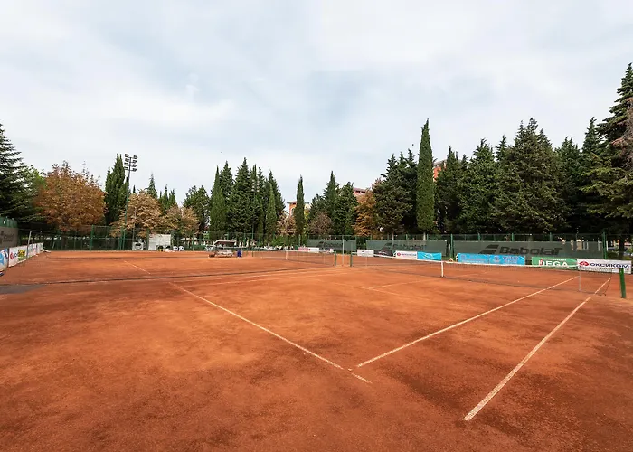 酒店 Hrizantema 4*