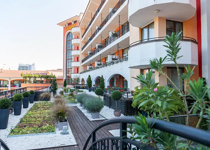 Hrizantema 阳光海滩