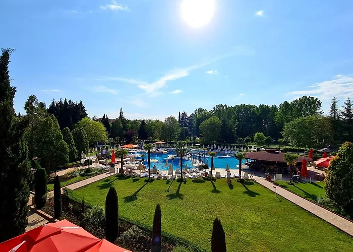 Hrizantema Otel Sunny Beach