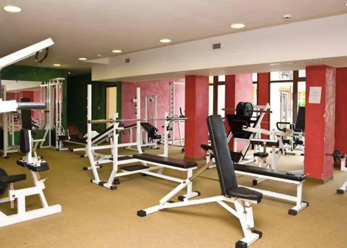 Otel Hrizantema Sunny Beach