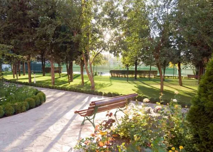 Hrizantema Hotel Sunny Beach