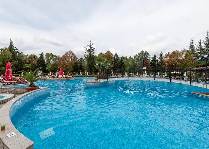 Hrizantema Sunny Beach