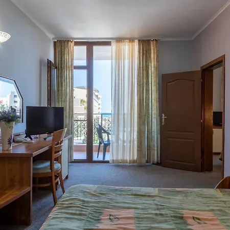 Hrizantema Słoneczny Brzeg